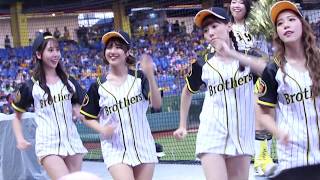 20190824 PS松鼠 通通出局1 中信兄弟X阪神虎 阪神甲子園球場日