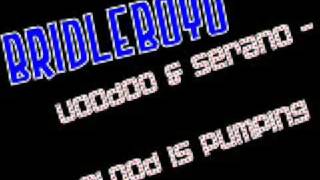 Voodoo & Serano - Blood Is Pumping (Hard House Anthems 2008)