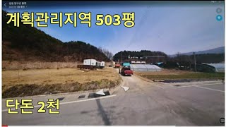 계획관리지역 503평 단돈 2천~놀라운 가격 급매,급매물,반값매매,토지,반값급매일기,부동산,TV