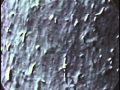 Whole Axoplasm - Transport of membranes inside of a squid giant axon