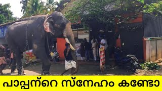 കടയിലേക്ക് കയറാൻ അല്ല ഈ പോക്ക്  | Kerala Elephant | Cherai Aanayoott 2024 | arjunbabu0007