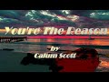 You're the reason by Calum Scott {lyrics)🎵