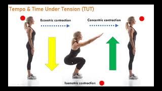 Program Design 4 Exercise Selection