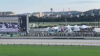 2022/10/30 東京競馬10レース ペルセウスs