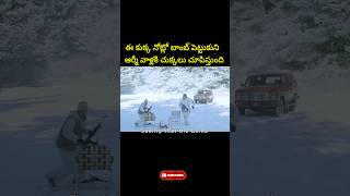 ఈ కుక్క నోట్లో బాంబు పెట్టుకొని ఆర్మీ వాళ్లకే చుక్కలు Facts | #facts #trending #shorts