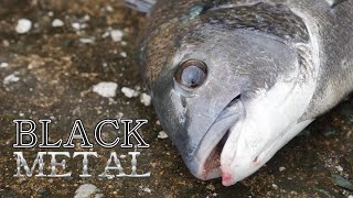 R5.6.21.福岡市でのチヌ釣り Hunt for black sea bream in Fukuoka City