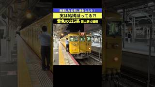 実は結構減ってる？山陽本線の黄色115系！岡山駅 24-08【ゆる鉄】 #岡山駅 #115系 #国鉄型電車