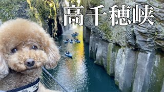 【九州旅行】絶対行きたい！神秘の絶景高千穂峡へ愛犬と行ってきました