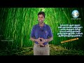 தமிழ் அறிவியல் மொழி 1 இலக்கிய சான்றுகள் science in tamil literature thai thamizh agarathi