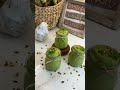 beautiful vibrant green incredibly healthy smoothie recipe healthy