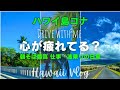 ハワイ島コナVlog 起床は5時で朝そば最高