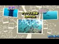 須磨海づり公園の水中映像　すごい魚