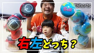 【右左どっち】選んだら罰ゲームｗ『地球グミ🌎』VS『イカゲームグミ🦑』で、こうなった…ｗ (娘ver.)【#Shorts】