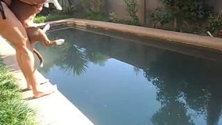 2017 08 16 r splash with Narvie boy the swimming pitbull  HOME POOL FUN