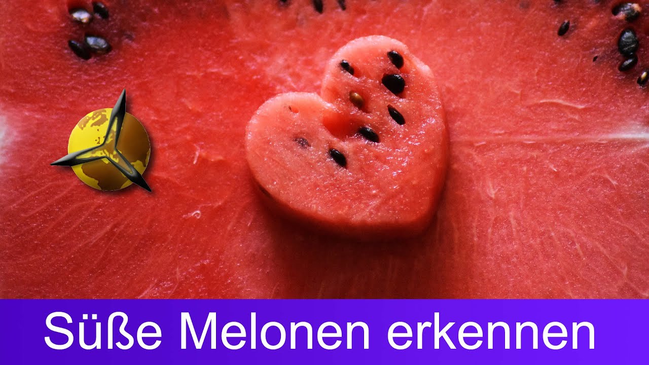 Reife Wassermelonen: Süße Melonen Erkennen & Kaufen - YouTube