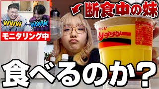 【隠し撮り】100時間断食中の妹は冷蔵庫に大好物のプリンがあったらどーする？