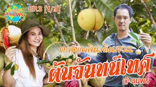 ท่องโลกสมุนไพร EP.3 [1/3] ตอน ตะลุยเพลินเดินสวน\