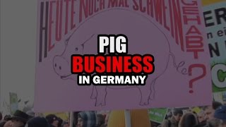 Pig Business in Germany