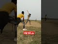 गाड़ फार six cricket trending viral video