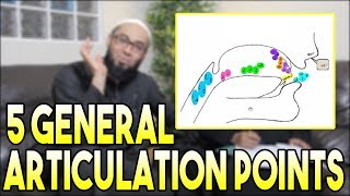 Articulation Points Of Arabic Letters In Tajweed | General Makhaarij AL Huroof | 28 Or 29 Letters