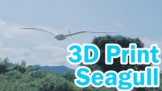 3Dプリンターで印刷したカモメ型ラジコン飛行機がいまいち飛ばない