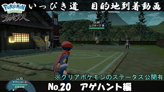 【いっぴき道攻略】No.20 アゲハント編【Pokémon LEGENDS アルセウス】