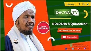 Kulan Diimeedkii 3aad | Maalinkii 2aad | Nolosha \u0026 Quraanka | Sh Cabdirashiid Sh. Cali Suufi