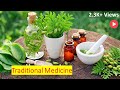 The Science Behind Traditional Medicine (8 Minutes Microlearning)