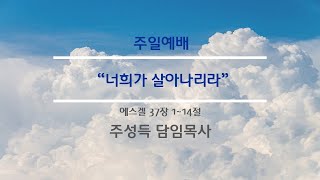 [●주일 2부예배] 전주큰빛교회 2025.01.19(주일)