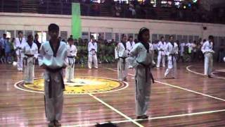 HAU - HS TKD synchronize form 2010