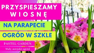 Wiosenne dekoracje, ogród w szkle i na parapecie #wiosna #wiosennedekoracje   #ogród #diy