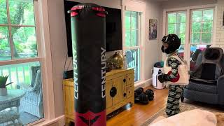 Century Versys Freestanding Punching Bags Review