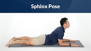 Sphinx Pose for Core Strength