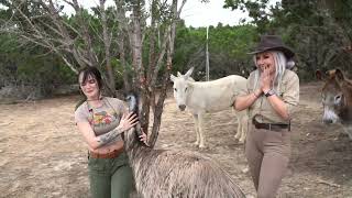 PEACHJARS HUGS AN EMU