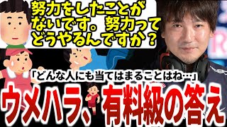 たった3分で心に刺さるウメハラの「誰にでも当てはまる努力の本質」努力したことないニキに神対応【有料級】【ウメハラベストトーク集42】