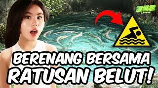 GENDENG! CHALLENGE BERENDAM BARENG SERATUS EKOR BELUT! | ZOENA EPS17