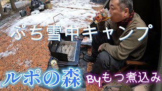 ルポの森でのんびり焼き鳥＆もつ煮込みキャンプ hot tent winter camping