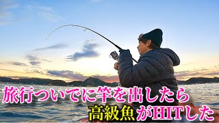 旅行ついでに竿を出したら高級魚がHITした【2023.1.4】