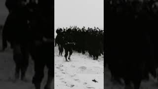 German POWs on D Day: A Normandy Myth