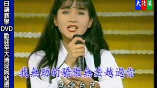 大清溪影視-全國KTV冠軍曲歌曲01 15愛得很小心 教唱加伴奏等於雙效合一 卡拉OK伴唱帶