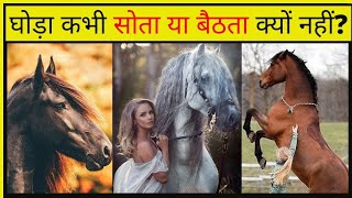 घोड़ा कभी सोता या बैठता क्यों नहीं | Why Horse Don't sit or sleep | Horse and girl #Shorts