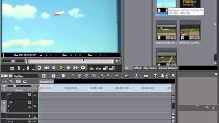 12. Viewing and Sorting [EDIUS 6 Basics]