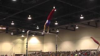 CJ Maestas – High Bar – 2016 Winter Cup Finals