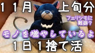 【脱汚部屋】1日1捨て活11月上旬 モノを増やしている⁉︎