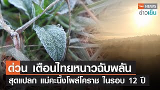 ด่วน เตือนไทยหนาวฉับพลัน - สุดแปลก แม่คะนิ้งโผล่โคราช ในรอบ 12 ปี | TNN ข่าวเย็น | 16-01-23