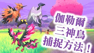 【寶可夢劍盾 冠之雪原】 伽勒爾三神鳥　捕捉方法 閃電鳥、急凍鳥、火焰鳥！フリーザー Articuno／サンダー Zapdos／ファイヤー Moltres Pokémon Sword\u0026 Shield！