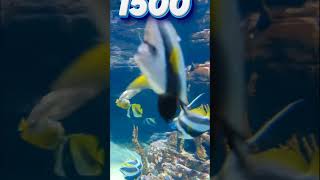 The Great Barrier Reef Explained in Tamil #explore