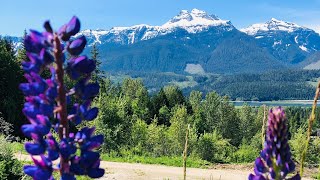 Exploring Revelstoke in Spring