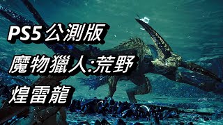 【魔物獵人:荒野】煌雷龍 | 打法分享 | 操蟲棍 | PS5公測版