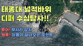 영도 도보권포인트 디퍼탐사(2) 태종대 넓적바위